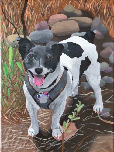 Painting of a black and white Jack Russell Terrier standing on some rocky earth.